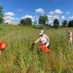 Natural Resources Volunteers